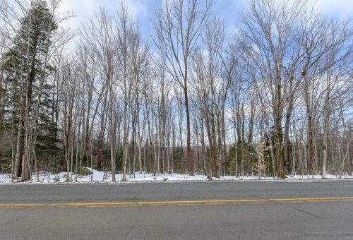 Land/Lot