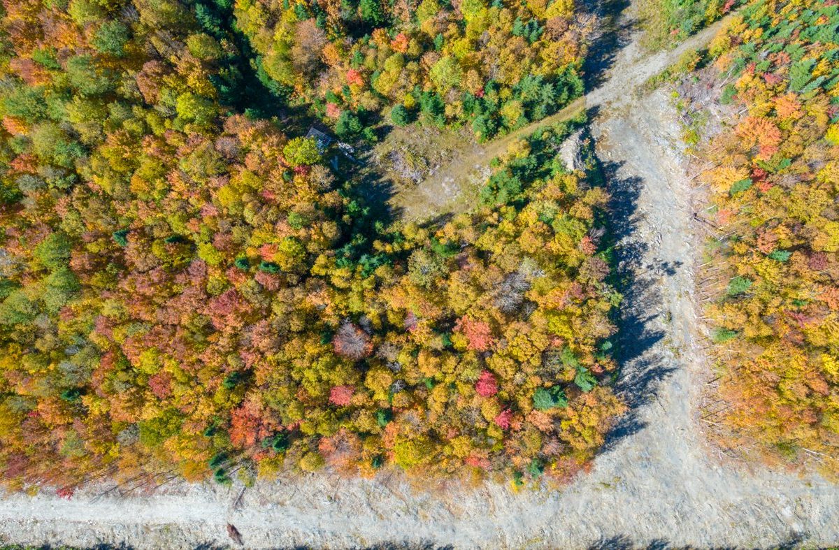 Terre/Terrain