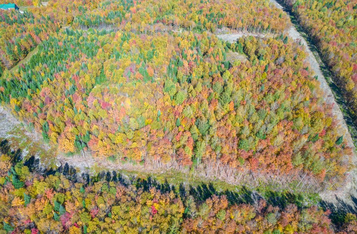 Terre/Terrain