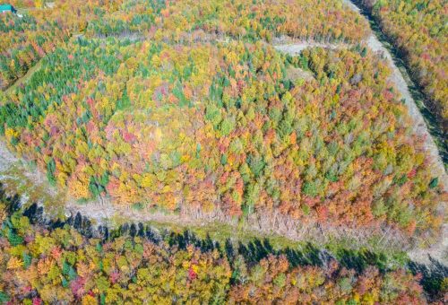 Terre/Terrain