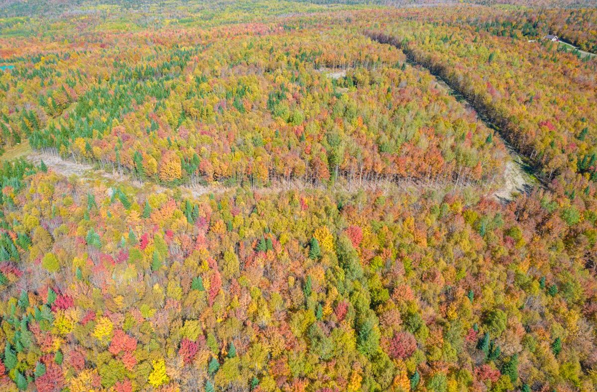 Terre/Terrain