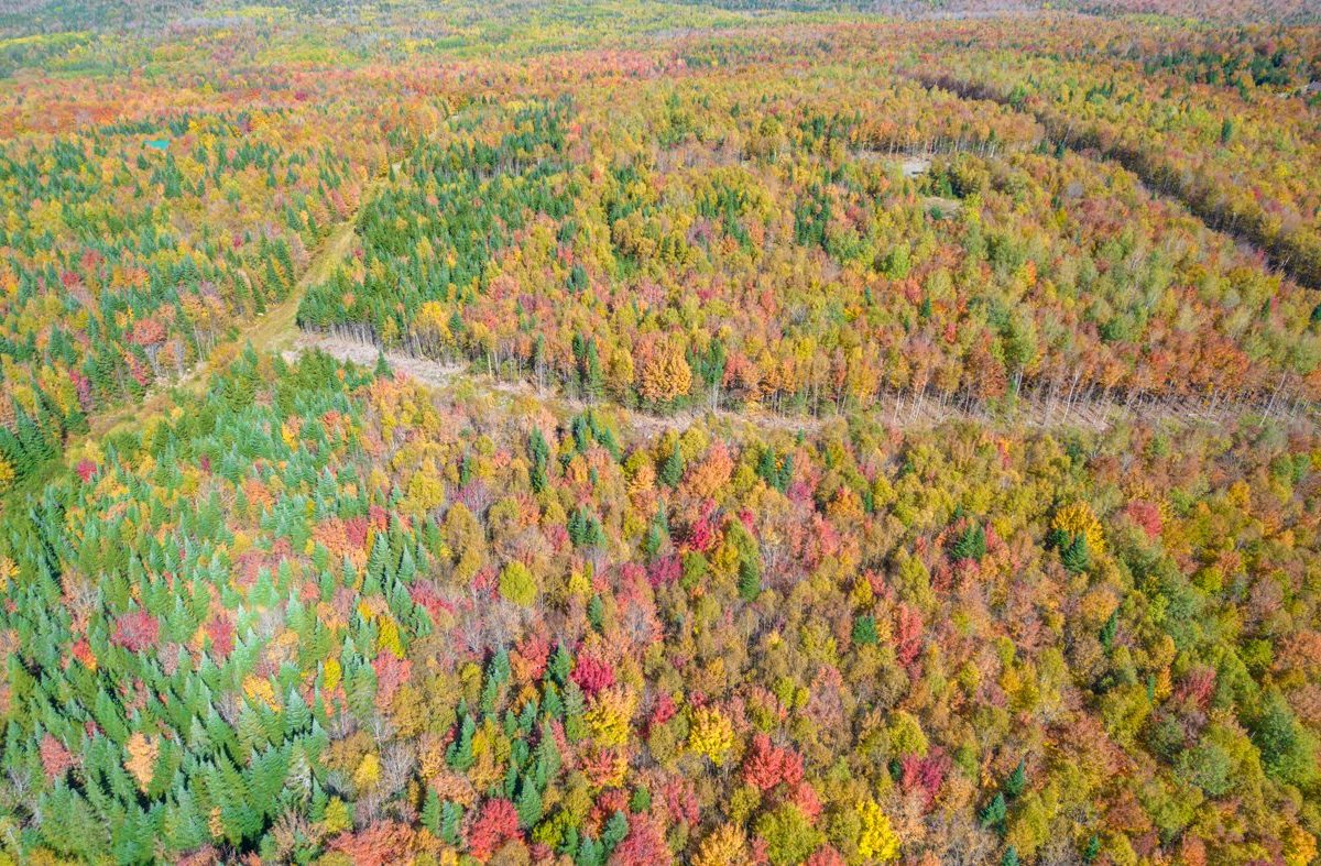 Terre/Terrain