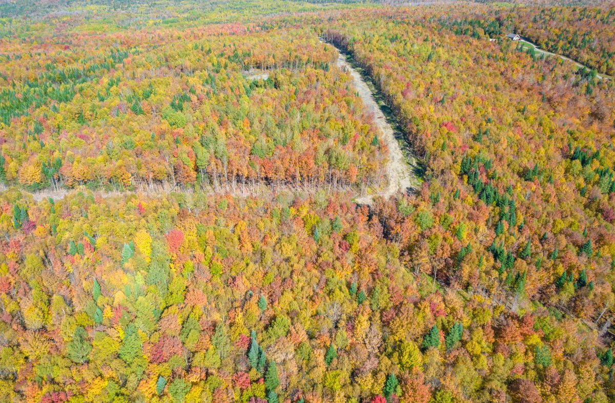 Terre/Terrain
