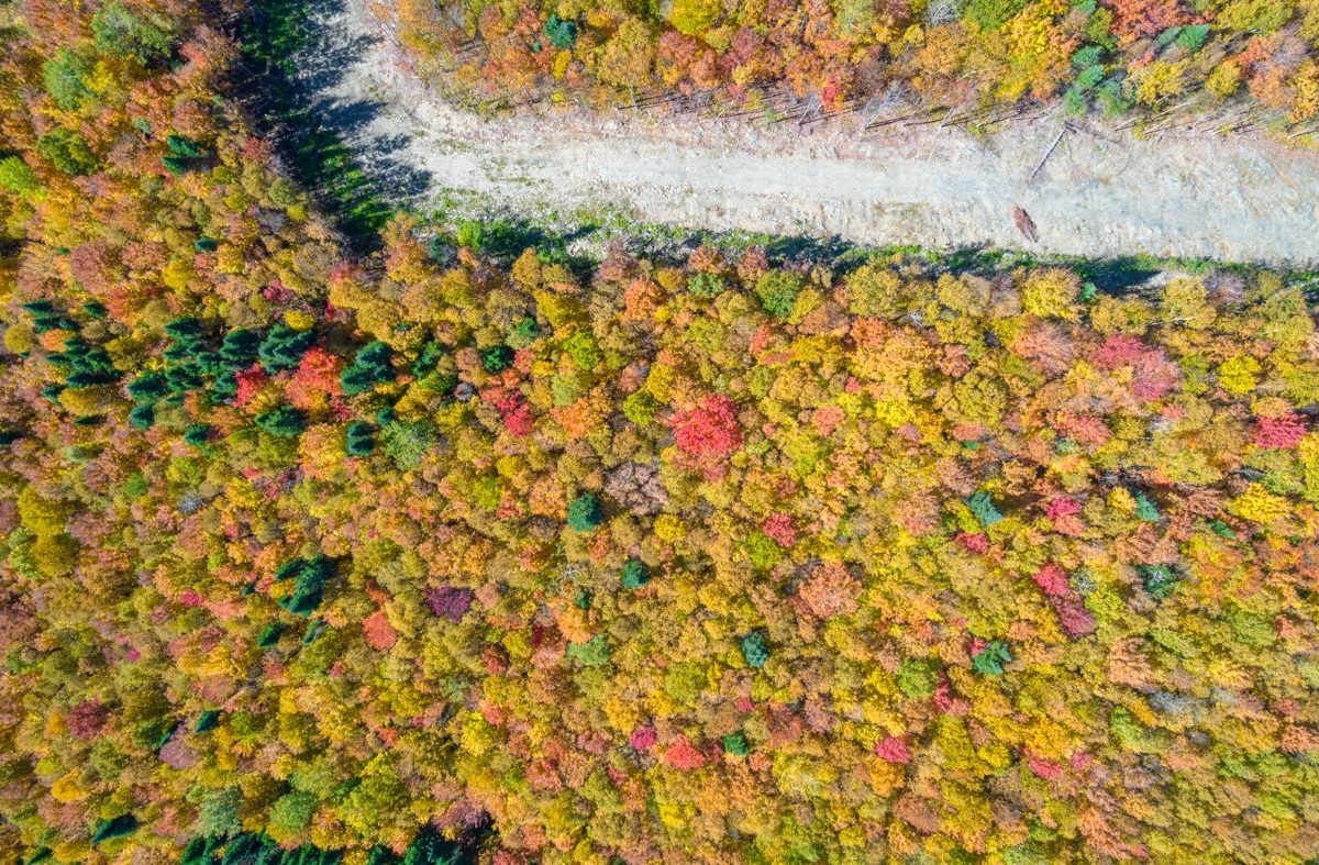 Terre/Terrain