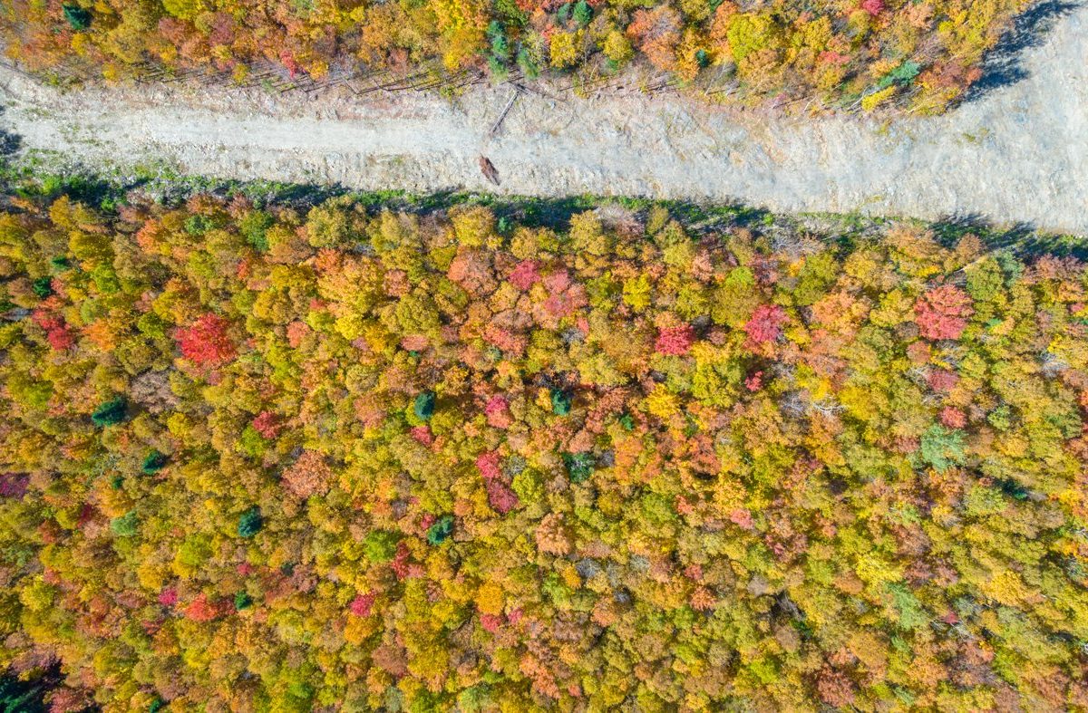 Terre/Terrain