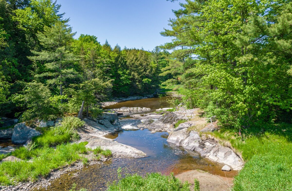 Vue sur l'eau