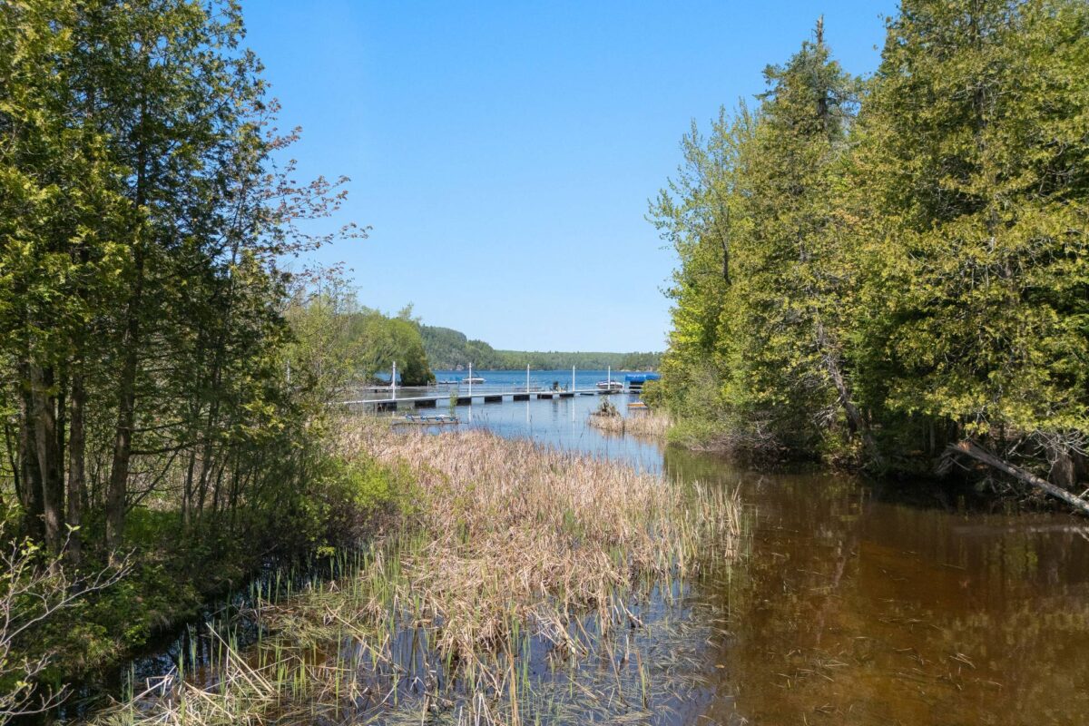 Vue sur l'eau